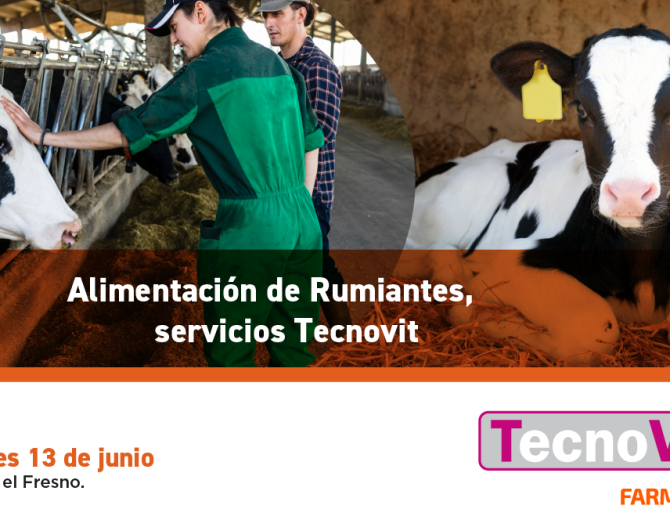 RUMINANT FEEDING SEMINAR
