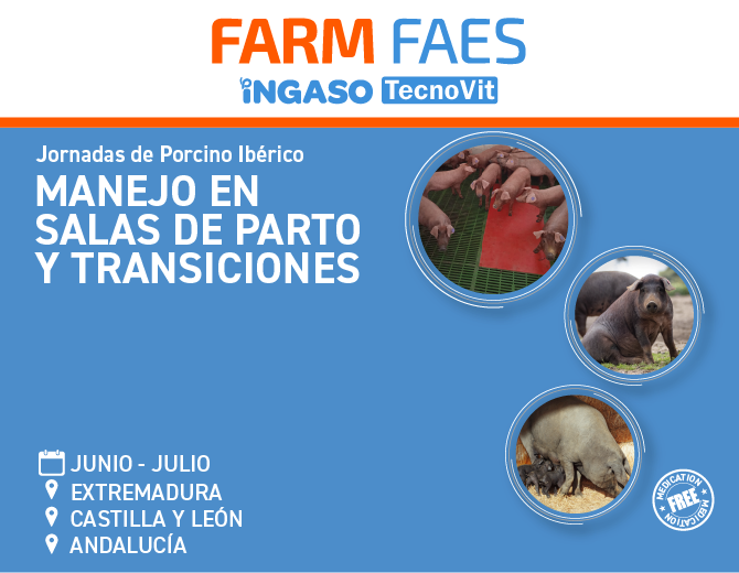Iberian Pig Seminars: