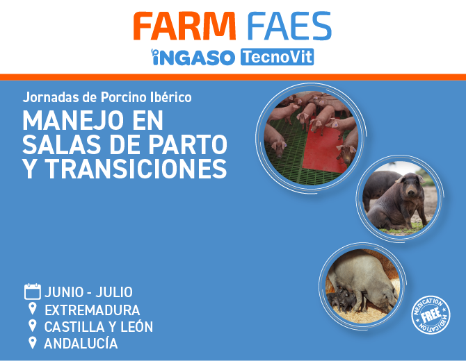 Iberian Pig Seminars: 