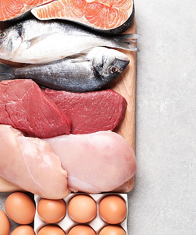 Procurement of functional protein of healthy animal origin (meat, eggs, milk and fish)